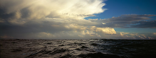 Michael Berman Photography